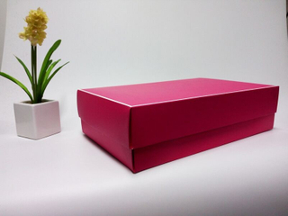 Rose Red special paper made box rectangular gift box custom printed folding clothing packaging box in EECA Packaging China