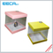 Newest PVC Plastic Box/Square gift box Wholesale/candle box/PVC plastic box/window box in EECA