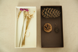 Square box Whosale blank cardboard box/paper jewelry box with cutom logo/paper box for specimen made in Guangdong