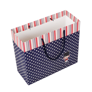 Paper bag/garments packaging bag/packaging bag/bag on a journey in EECA Packaging China