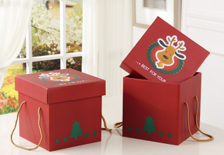 Storage box/Lid and base box Colorful Printed Christmas New Year Gift box/storage carton in EECA packaging