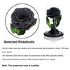 Handmade Preserved Roses in Glass Dome Long Lasting Black Roses Real Eternal Glass Rose for Valentine’s Day