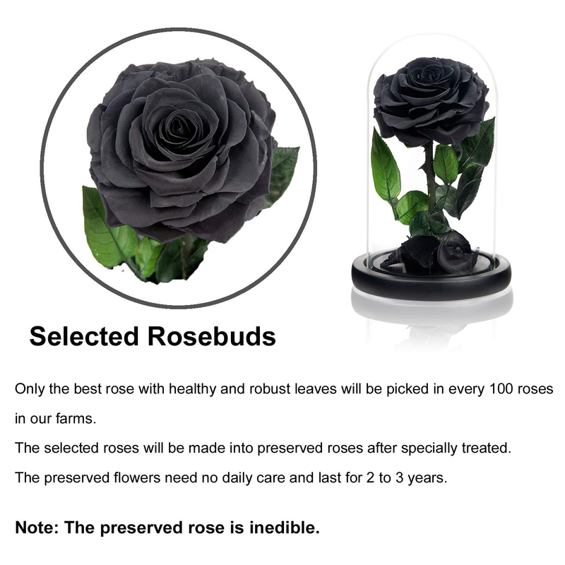 Handmade Preserved Roses in Glass Dome Long Lasting Black Roses Real Eternal Glass Rose for Valentine’s Day
