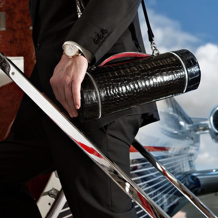 watch travel case (4)