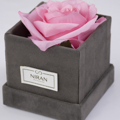 New Arrival Custom Logo Small Size Square Velvet Preserved Rose Single Flower Gift Packaging Boxes with Gilding Edge Handle