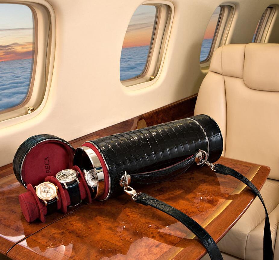 watch travel case (2)