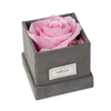 New Arrival Custom Logo Small Size Square Velvet Preserved Rose Single Flower Gift Packaging Boxes with Gilding Edge Handle