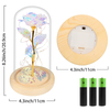 Custom Valentines Day Gift Eternal Gold Foil Rose Flower Led Light Preserved Galaxy Rose in Glass Dome for Women Girls