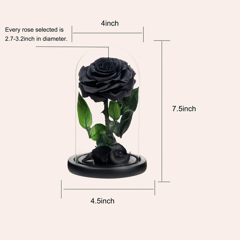 Handmade Preserved Roses in Glass Dome Long Lasting Black Roses Real Eternal Glass Rose for Valentine’s Day