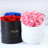 Factory Wholesale Everlasting Rose Forever Gift Box Real Eternal Immortal Decorative Flower Stabilized Preserved Roses in Box