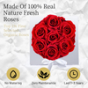 Wholesale Decoration Flower Natural Long Life Everlasting Immortal Forever Eternal Preserved Roses in Gift Box