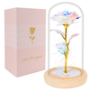Custom Valentines Day Gift Eternal Gold Foil Rose Flower Led Light Preserved Galaxy Rose in Glass Dome for Women Girls