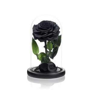 Handmade Preserved Roses in Glass Dome Long Lasting Black Roses Real Eternal Glass Rose for Valentine’s Day