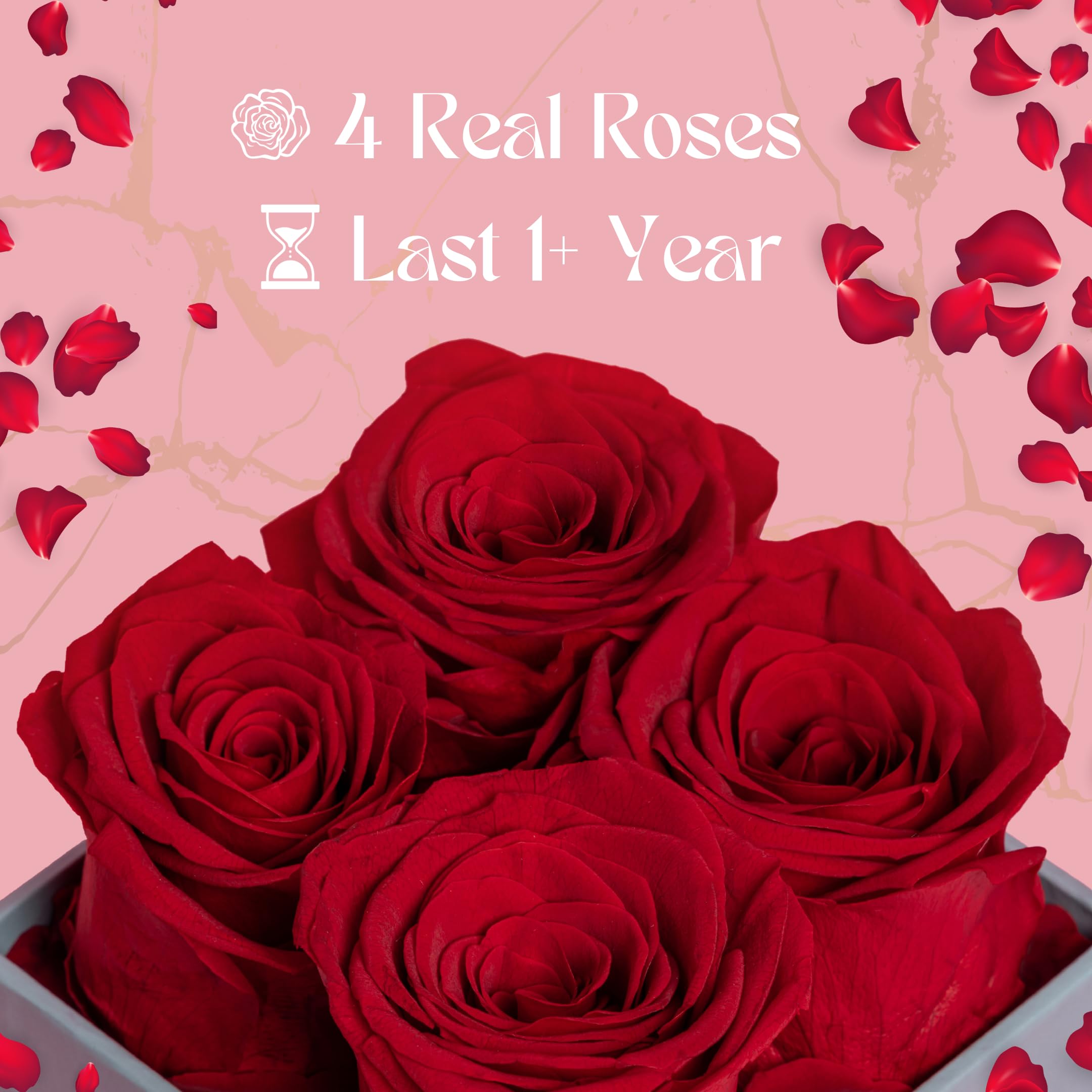 Wholesale Valentines Day Gift Forever Roses Real Natural Eternal Everlasting Roses Flower Preserved Flower Rose Square In Box