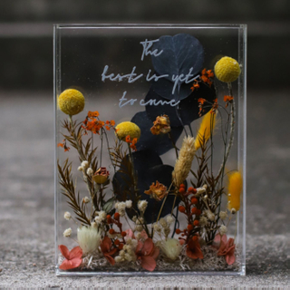 Ins Nordic Acrylic Transparent Flower Box Plant Dried Immortal Flowers Hollow Picture Shadow Frame Diy Material Bag