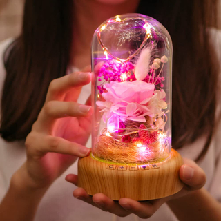 Eternal Rose Artificial Rose Flower Glass Dome with LED Romantic Gift for Woman Wife Girlfriend on Valentine's Day Mother's Day