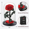 Forever Red Rose And Preserved Rose in Glass Dome
