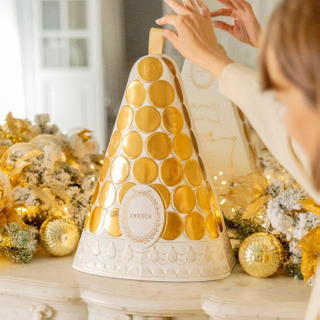 Christmas Tree Macarons Box