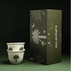 Printed Palm Tree Coffee Mug Cup Paper Boxes