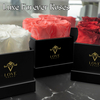 Gift Box Eternal Immortal Roses Flower Head Long Lasting Everlasting Rose Preserved Real Touch Roses In Square Bucket Box