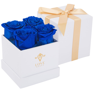 Preserved Rose Eternal Flower Mushroom Head ChristmasValentine's Day Gift Rose Gift Box