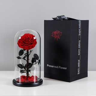 Luxury Valentine Day Preserved Roses In Glass Dome Factory Glass Dome With Wood Base Eternal Rose Preserved Flower In Glass Dome